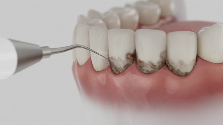 Reliable Dental contractor in Jonesborough, TN by Dentist Open Now
